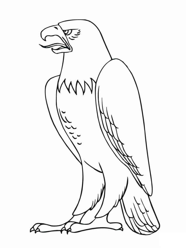 Coloring Pages of Eagle