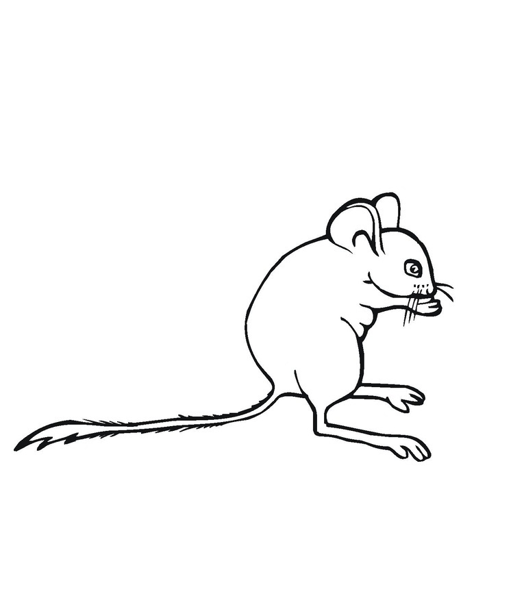Mouse Printable