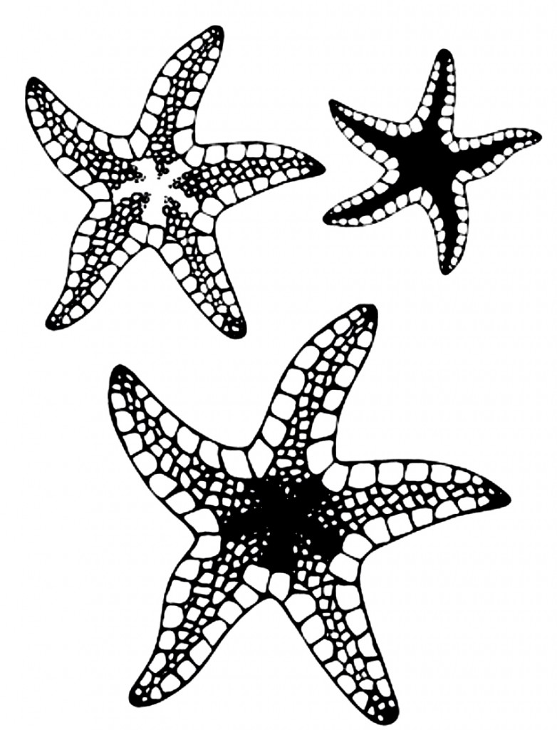 Coloring Pages of Starfish