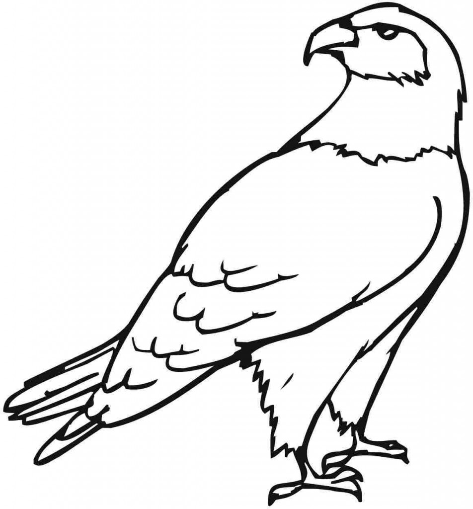 Eagle Coloring Page