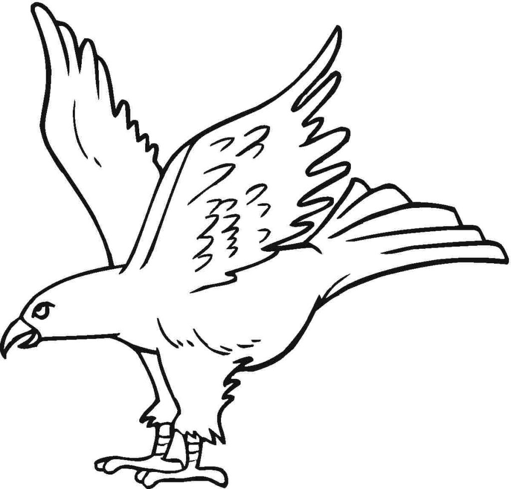 Eagles Coloring Pages