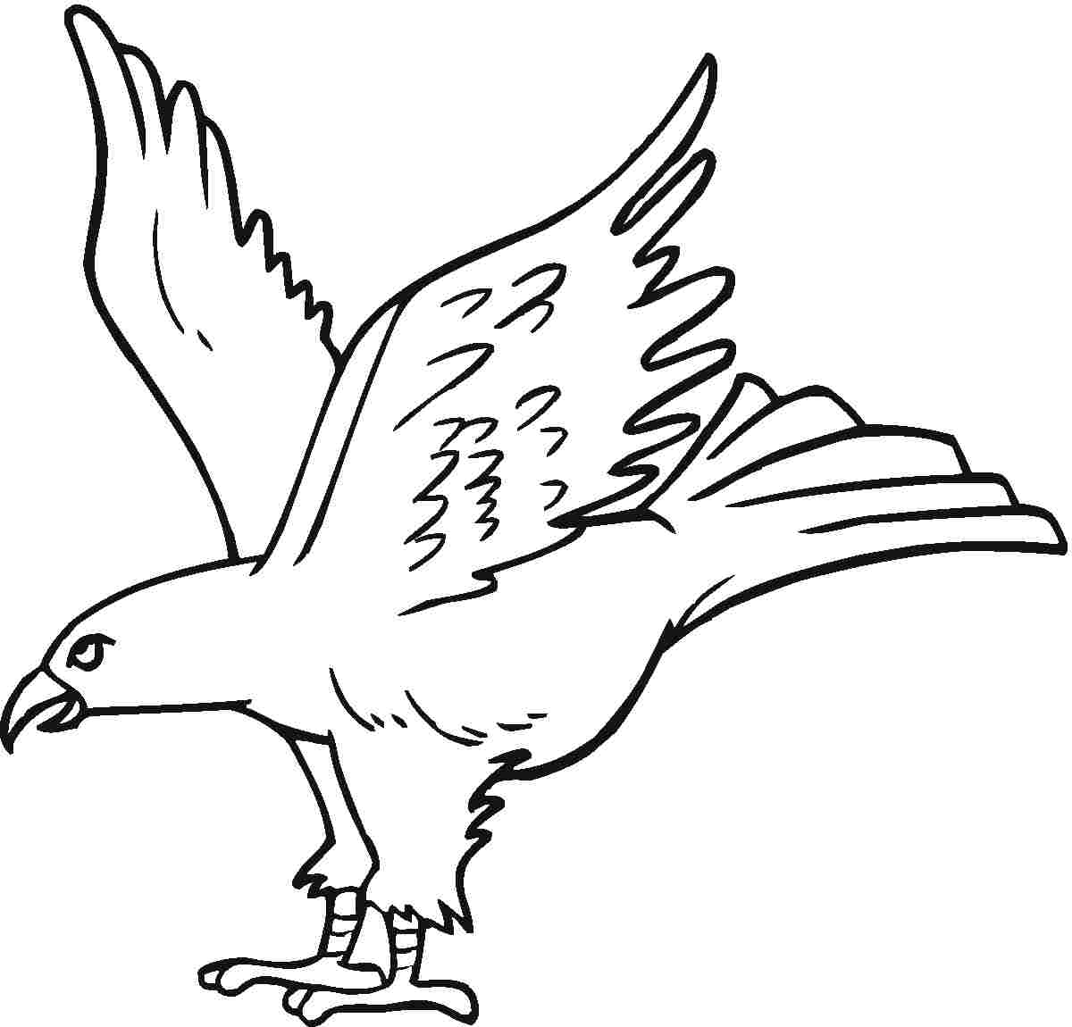 Free Printable Eagle Coloring Pages For Kids