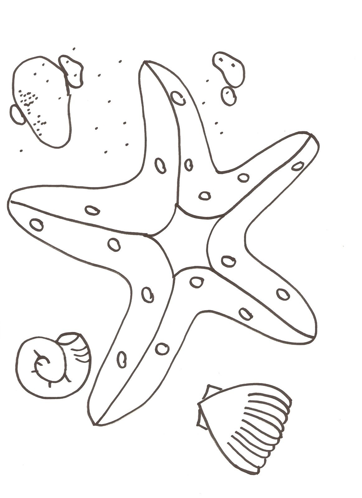 Download Free Printable Starfish Coloring Pages For Kids