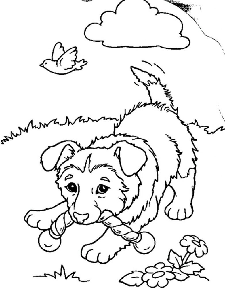 puppies coloring pages