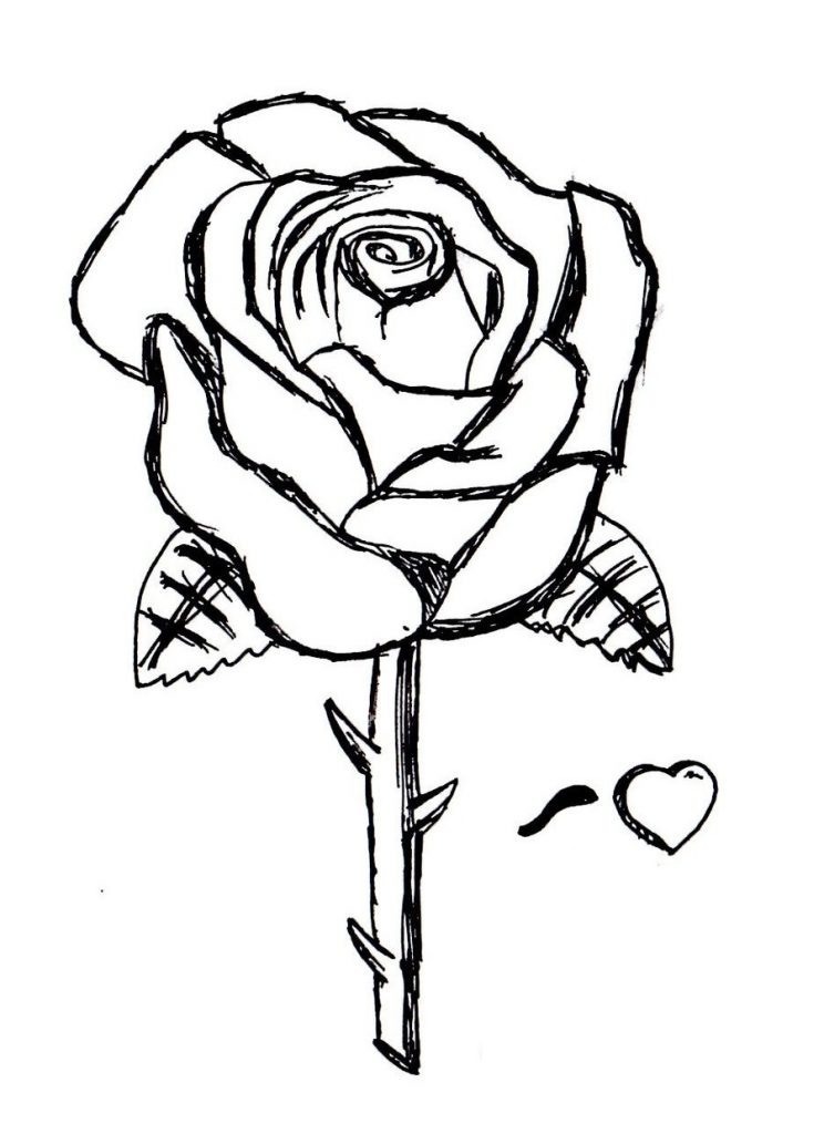 Free Rose Coloring Pages