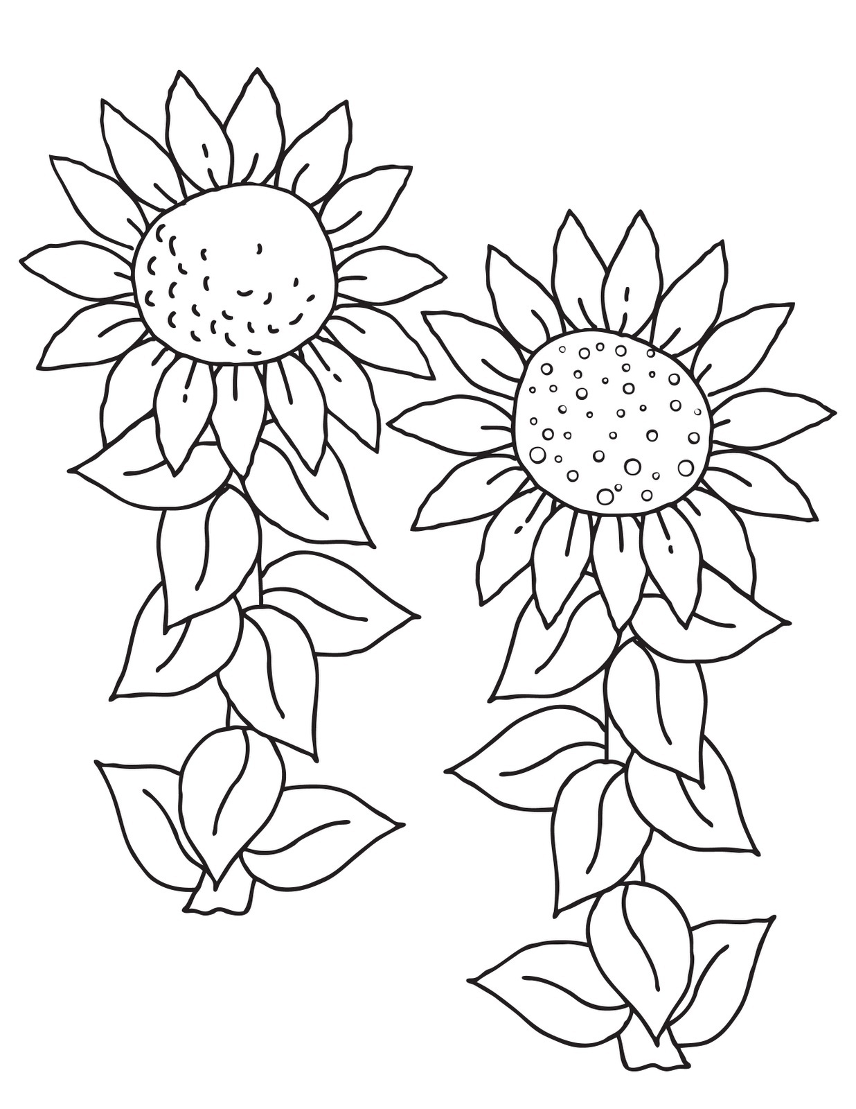 Featured image of post Sunflower Template To Print : Get commercial use sunflower graphics and vector designs.