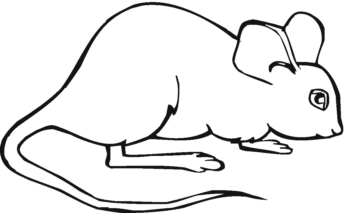 Mouse Coloring Pages Printable Printable World Holiday