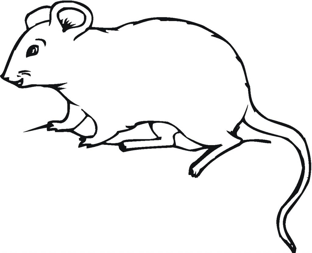 Mouse Coloring Pages For Kids