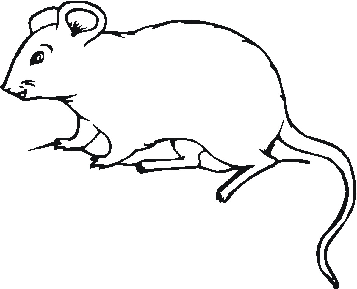 Free Printable Mouse Coloring Pages For Kids Coloring Wallpapers Download Free Images Wallpaper [coloring654.blogspot.com]