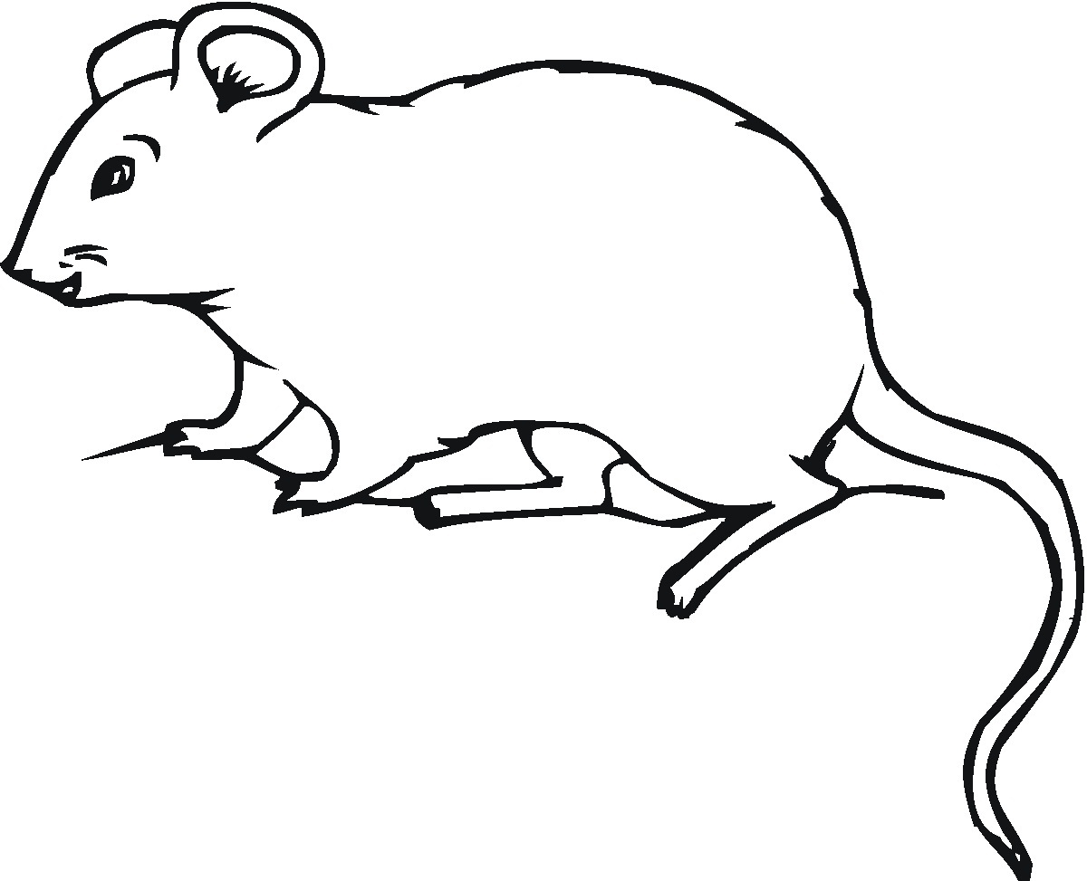 Effortfulg Coloring Pages Mouse