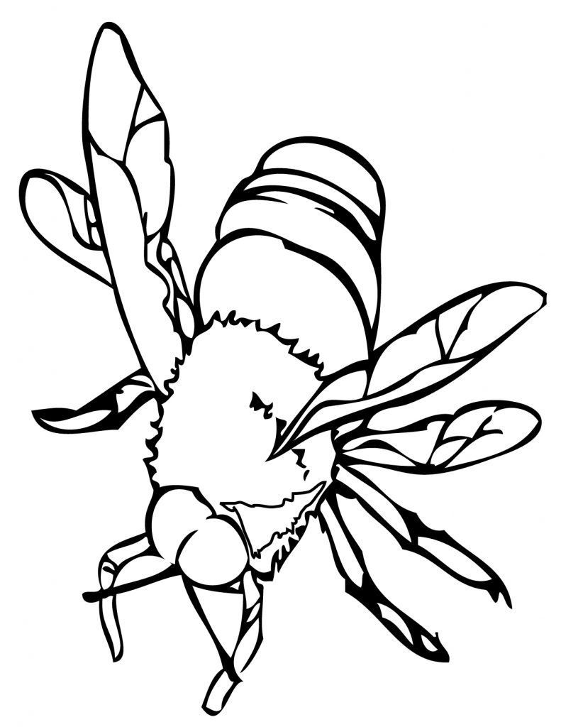 Printable Bee Coloring Pages