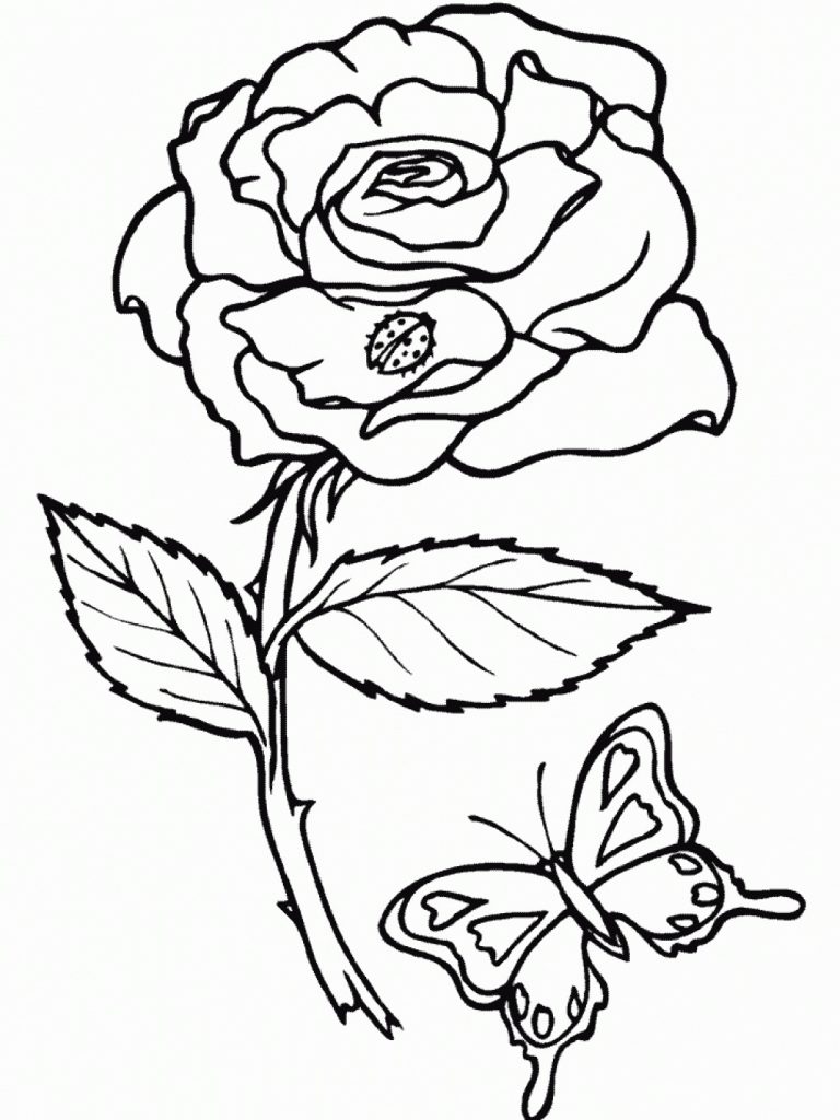 Free Printable Roses Coloring Pages For Kids Free Printable Roses Coloring Pages For Kids