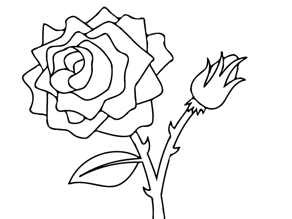 Rose Flower Coloring Pages