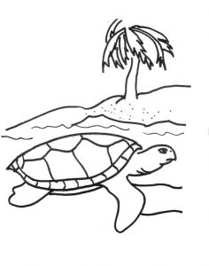 free printable sea turtle coloring pages for kids