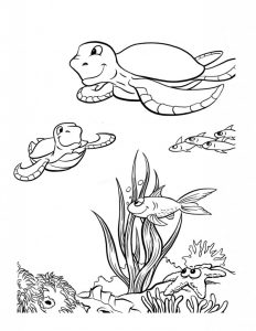 free printable sea turtle coloring pages for kids