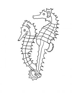 free printable seahorse coloring pages for kids