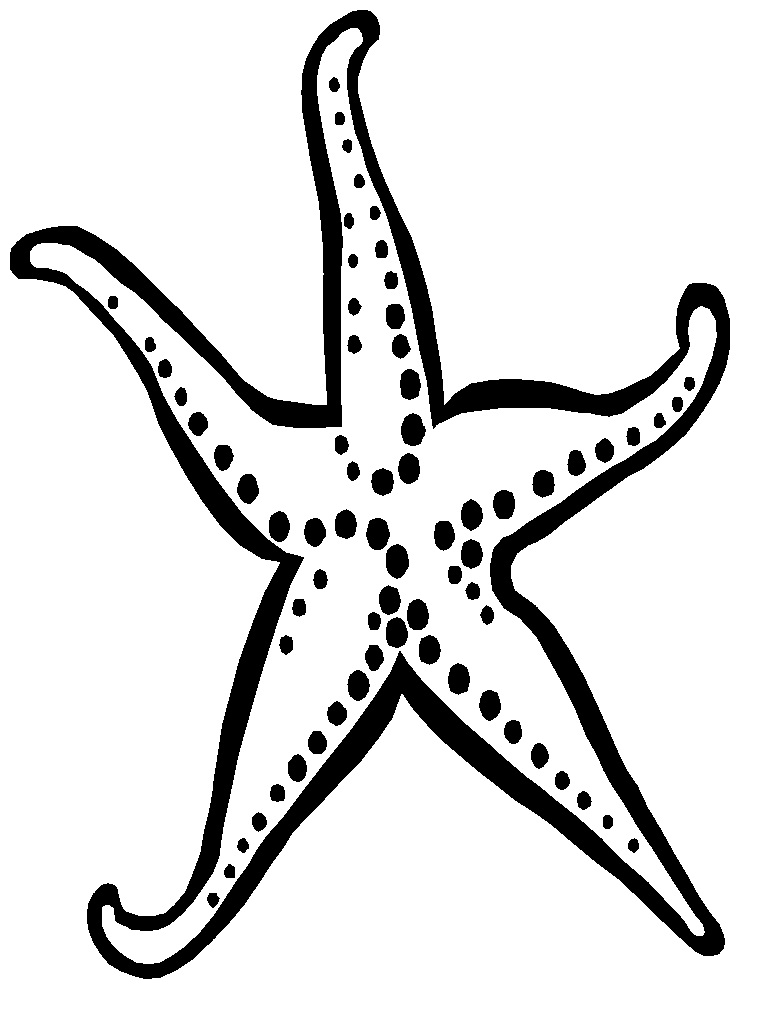 printable-starfish-printable-word-searches