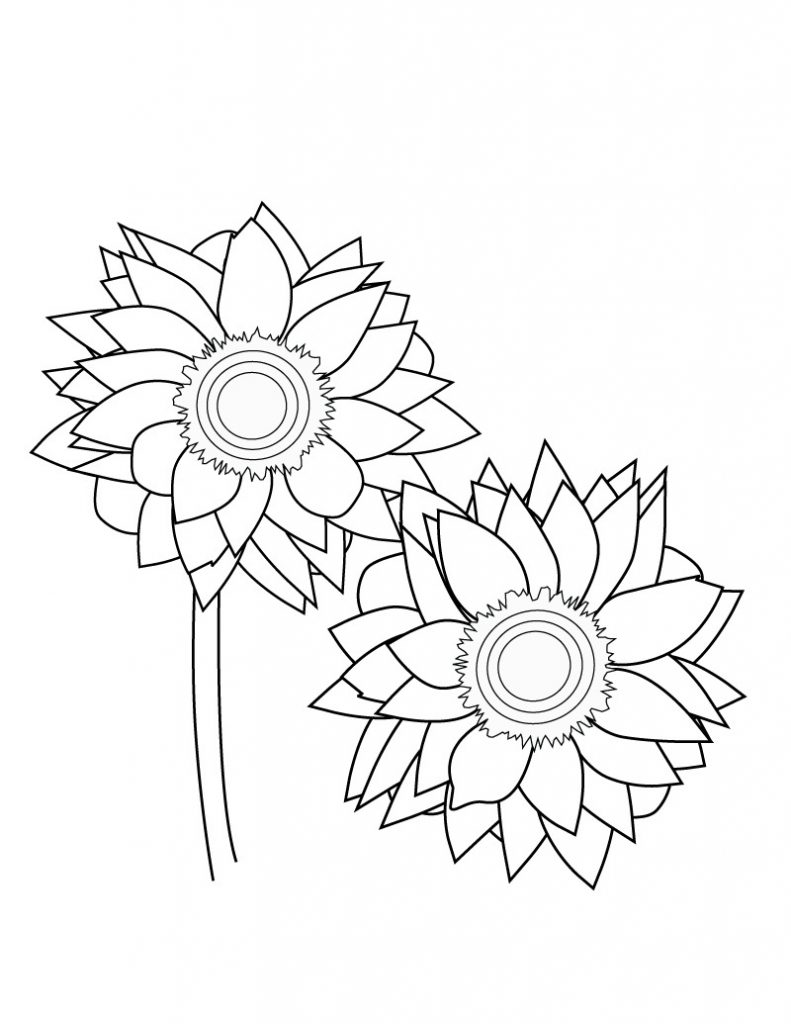 Sunflower Coloring Pages Printable