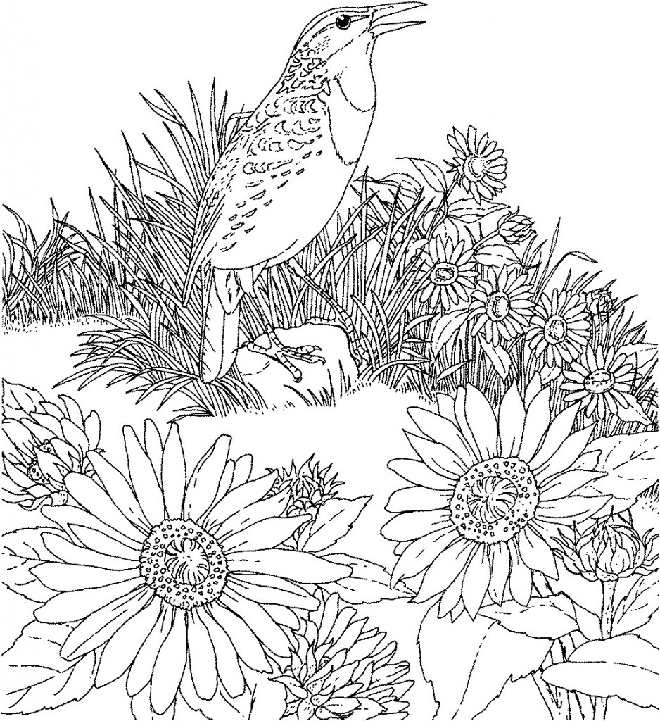 Free Printable Sunflower Coloring Pages For Kids