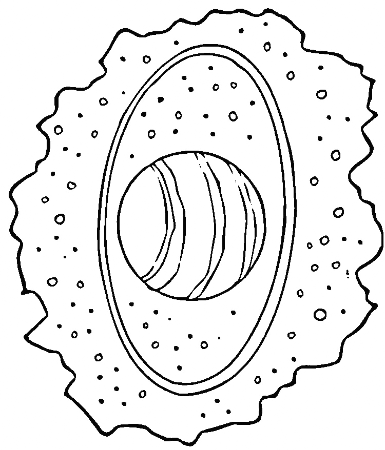 Planet Uranus Coloring Page