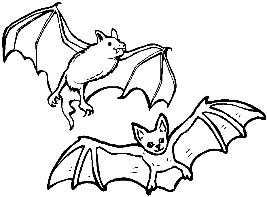 Vampire Bats Coloring Page