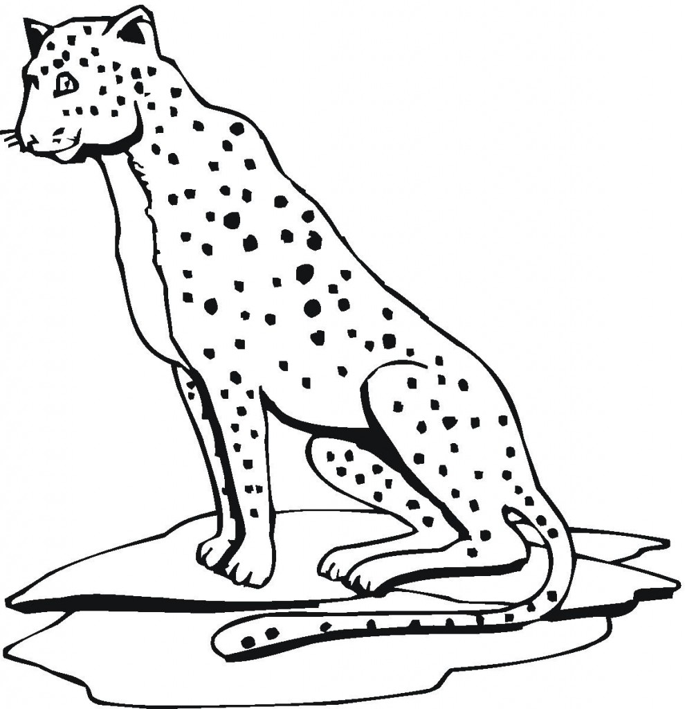 Cheetah Coloring Page