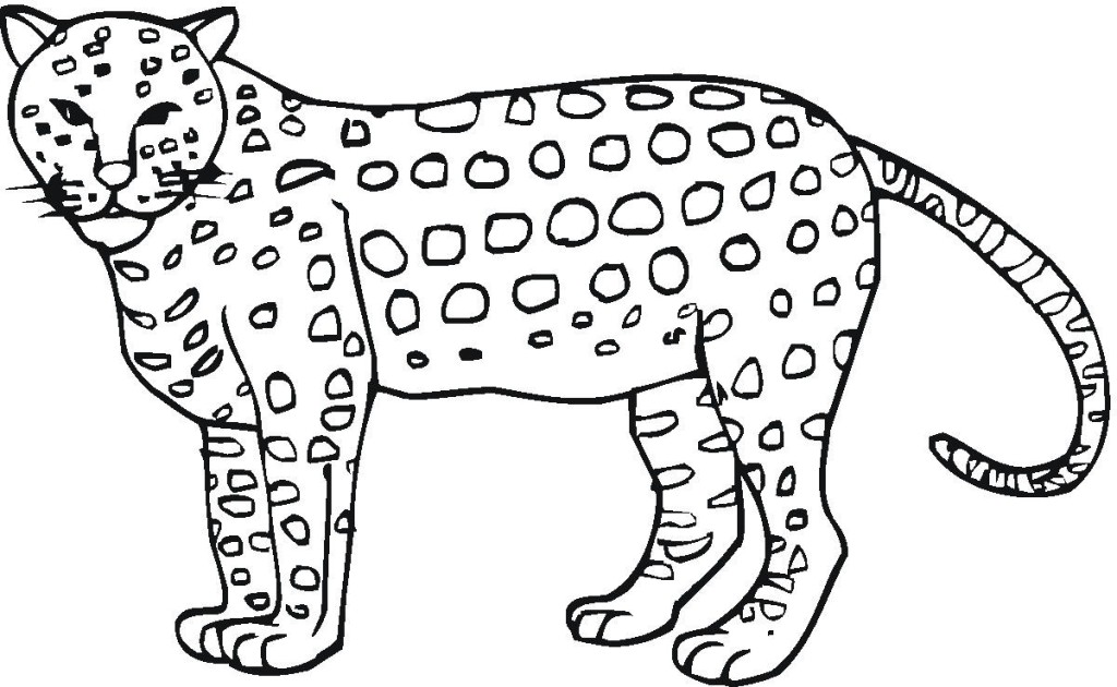 Cheetah Coloring Page 7