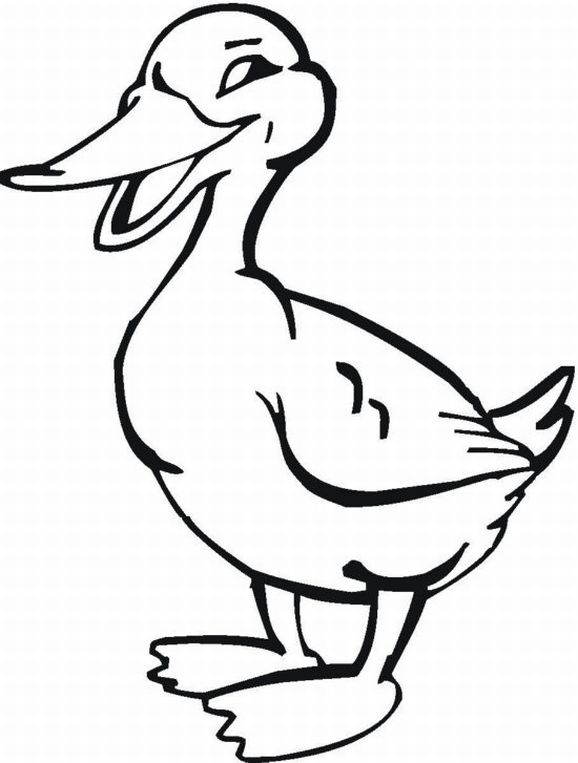 Farm Animal Coloring Pages to Print