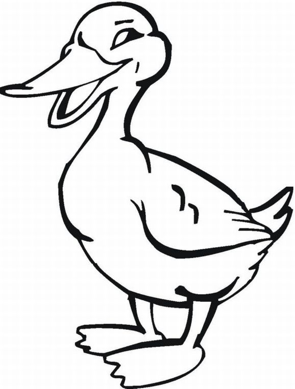 baby farm animal printable coloring pages - photo #40