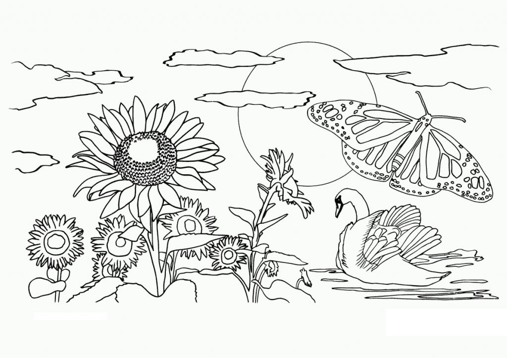 Nature Coloring Pages