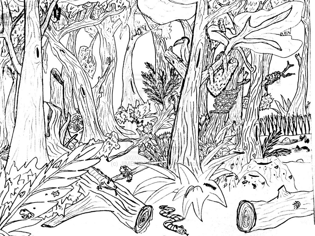 Free Printable Nature Coloring Pages For Kids - Best Coloring Pages For