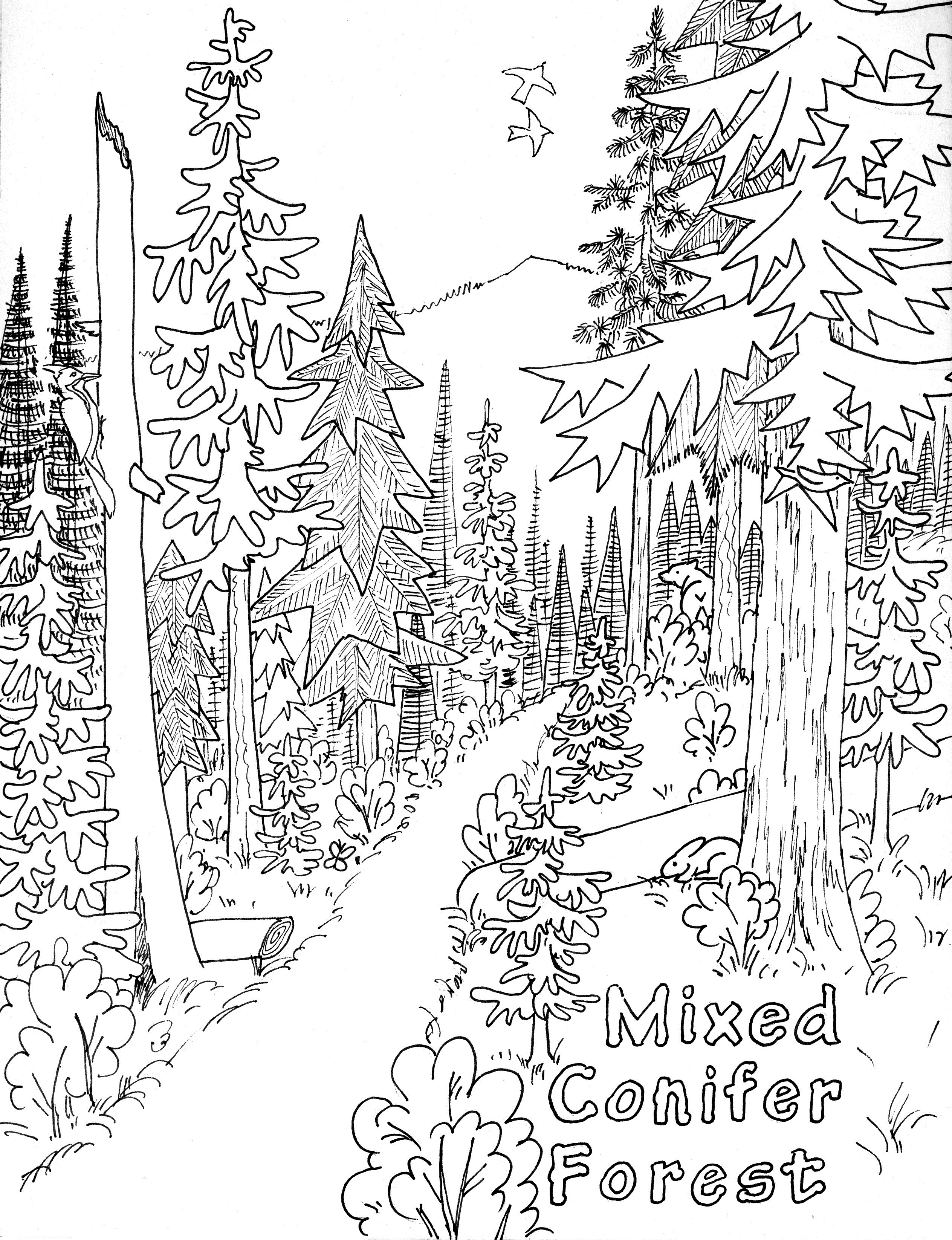 Free Printable Nature Coloring Pages For Kids Best Coloring Pages For Kids