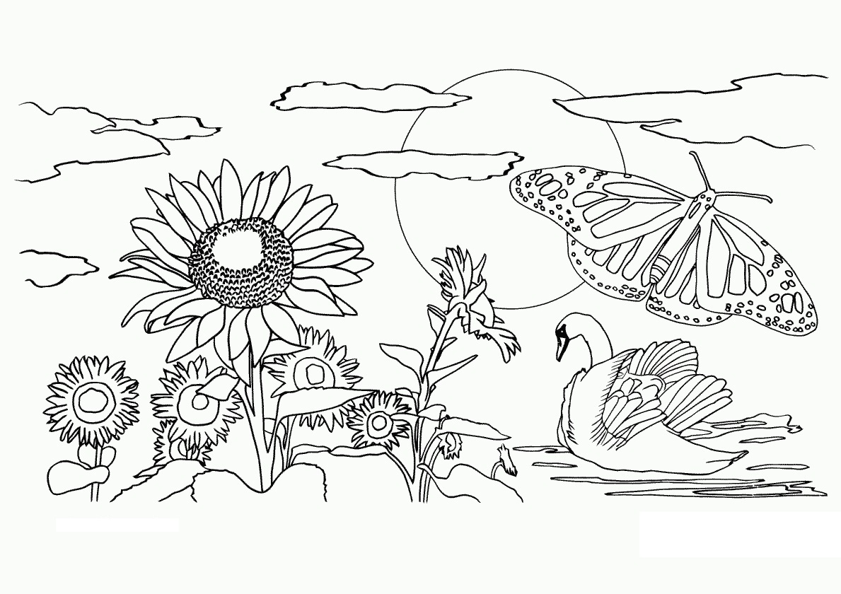 Featured image of post Nature Coloring Pages Pdf - Dover color your own van gogh paintings 1999.pdf.