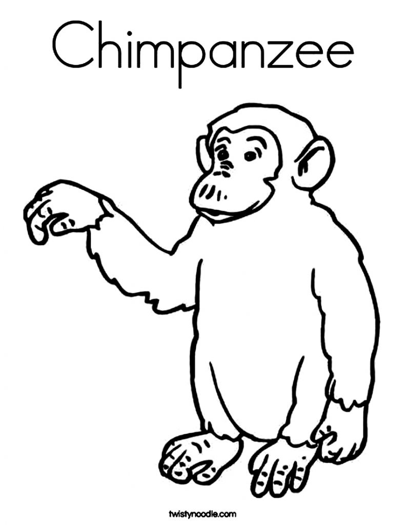 Baby Chimpanzee Coloring Pages
