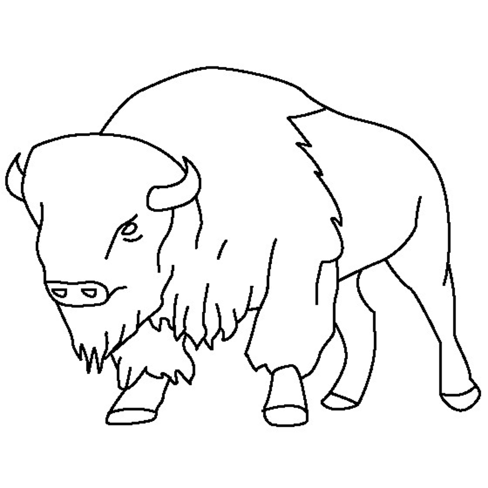 Bison Coloring Pages Pictures