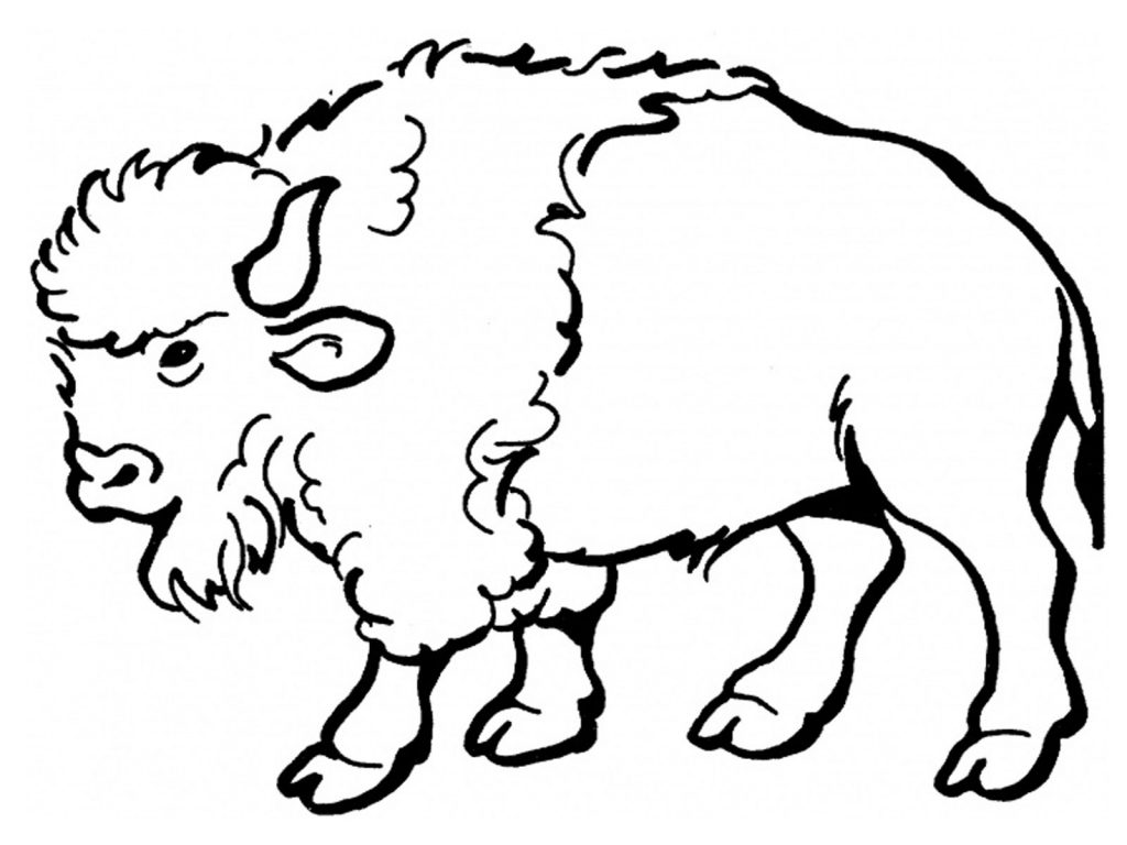Bison Coloring Pages Printable