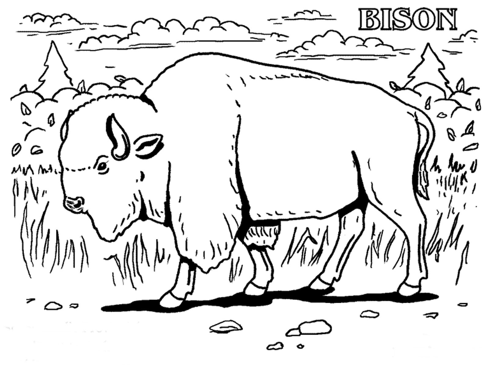 73 Collections Extinct Animal Coloring Pages  Best Free