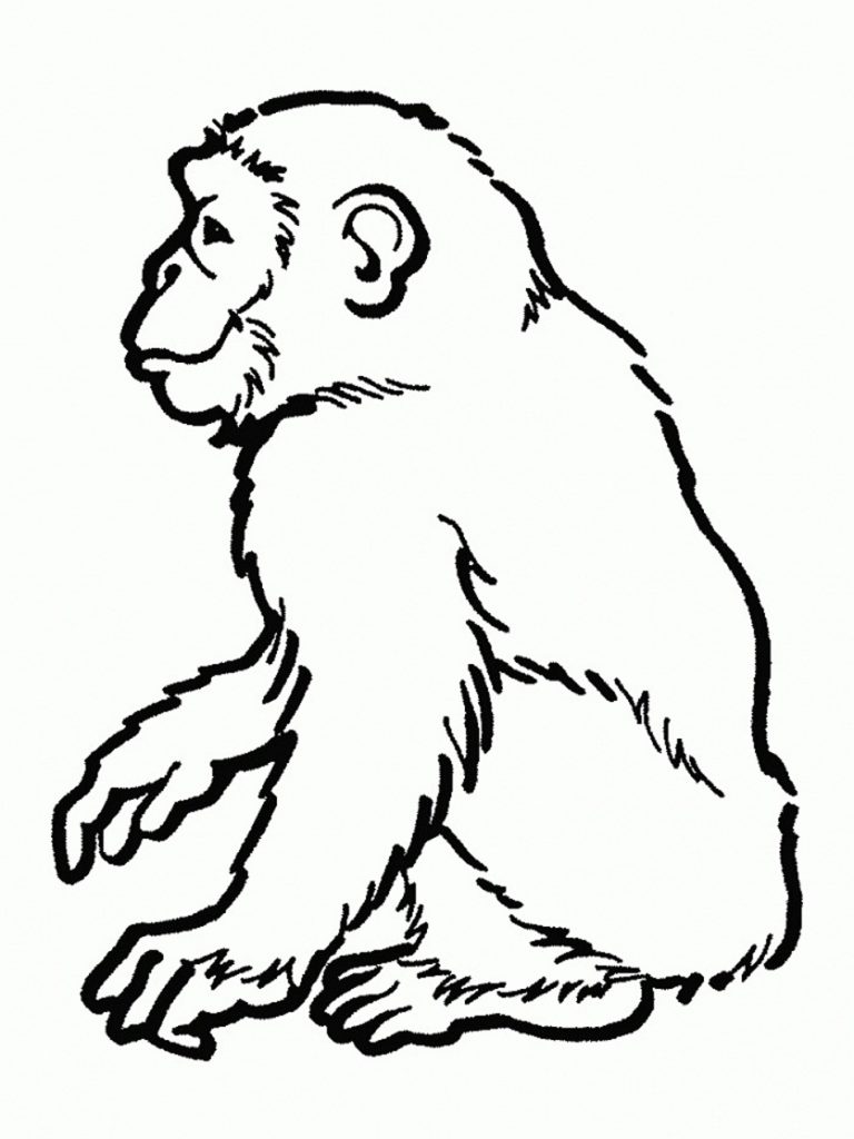 Chimpanzee Coloring Page