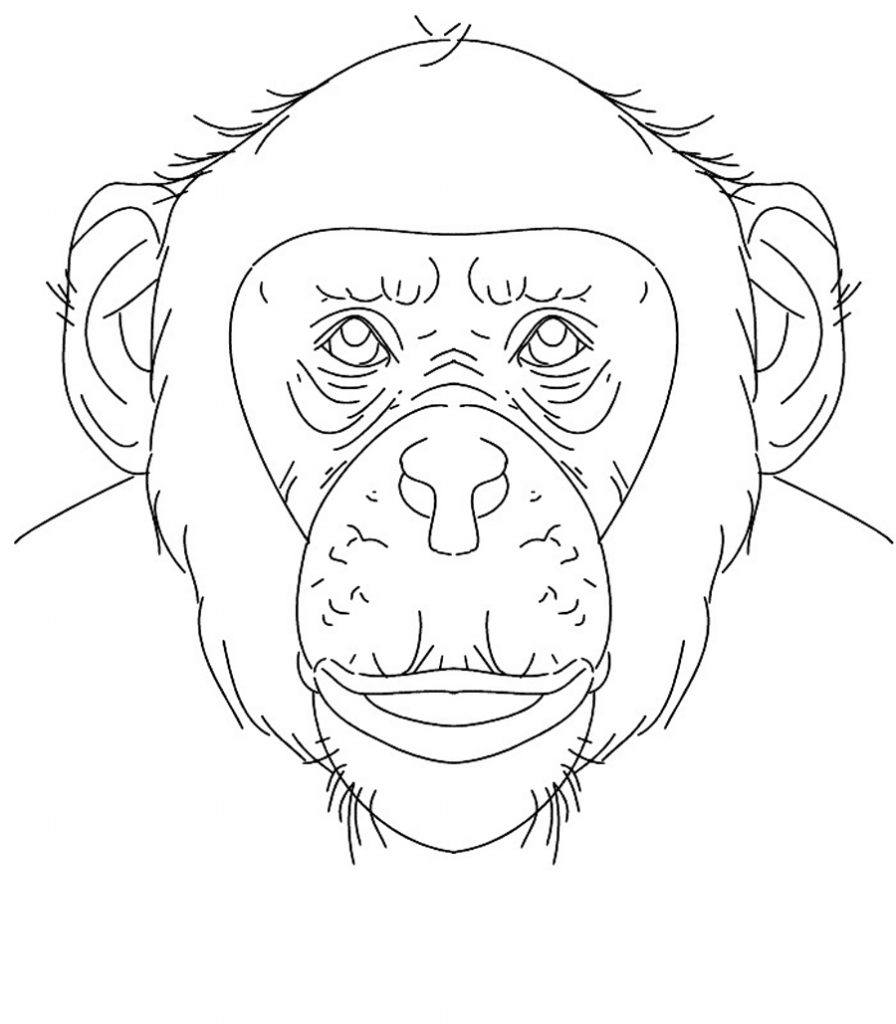 Chimpanzee Face Coloring Pages