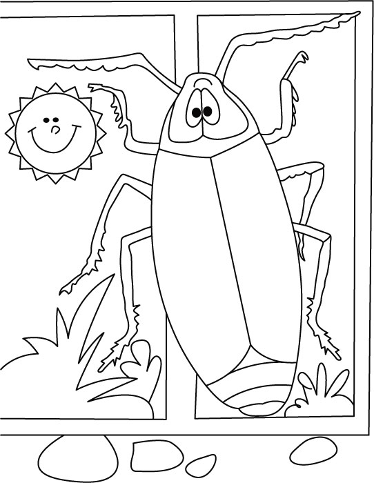 Cockroach Coloring Pages for Kids