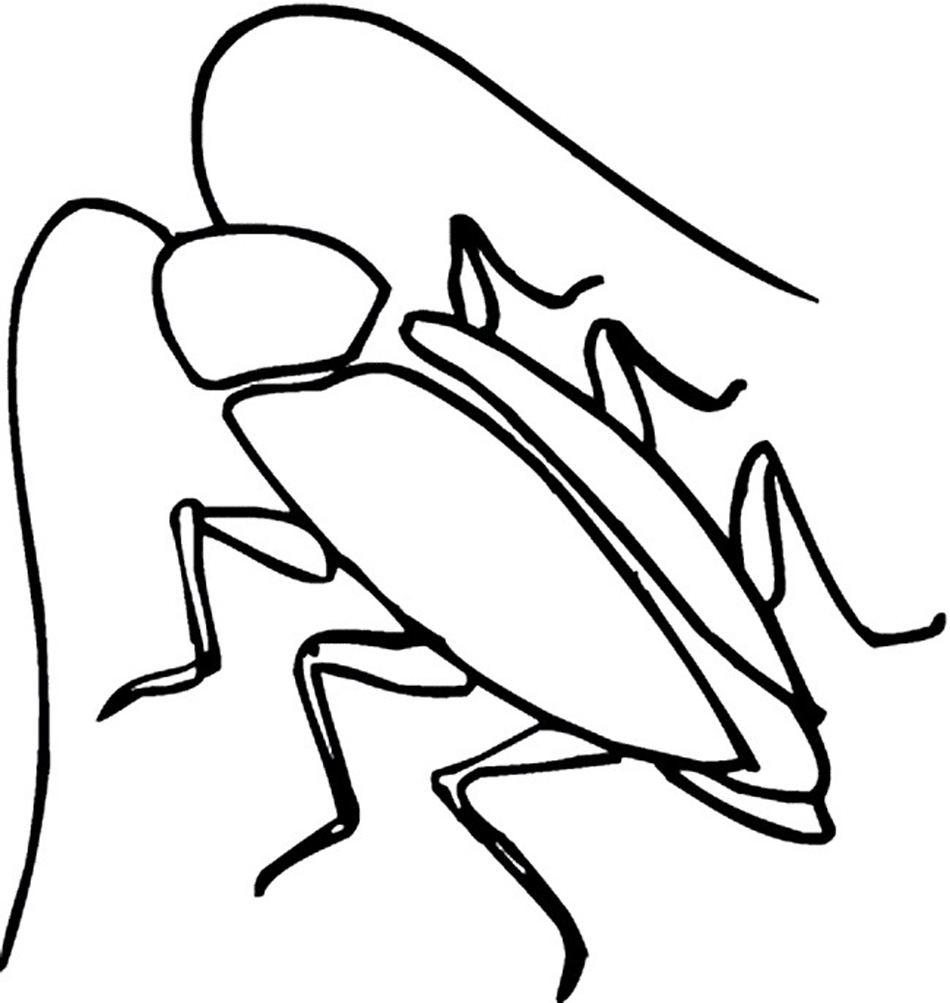 Cockroach Coloring Pages to Print