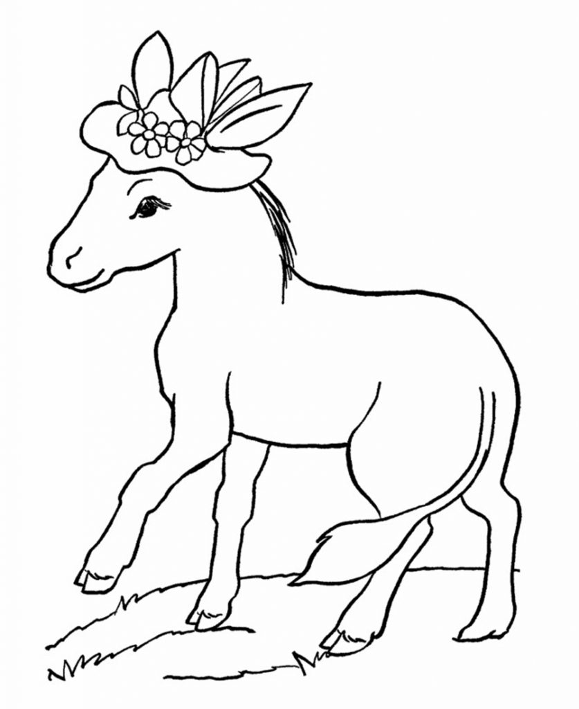 Coloring Pages of Donkey