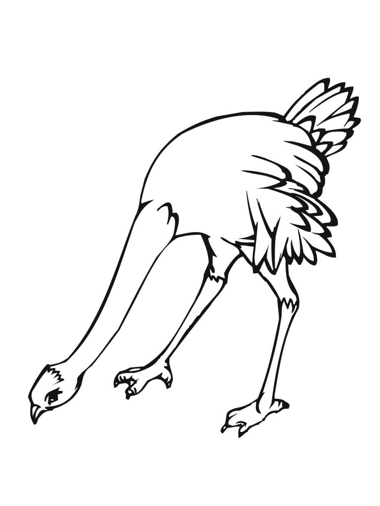 Coloring Pages of Ostrich