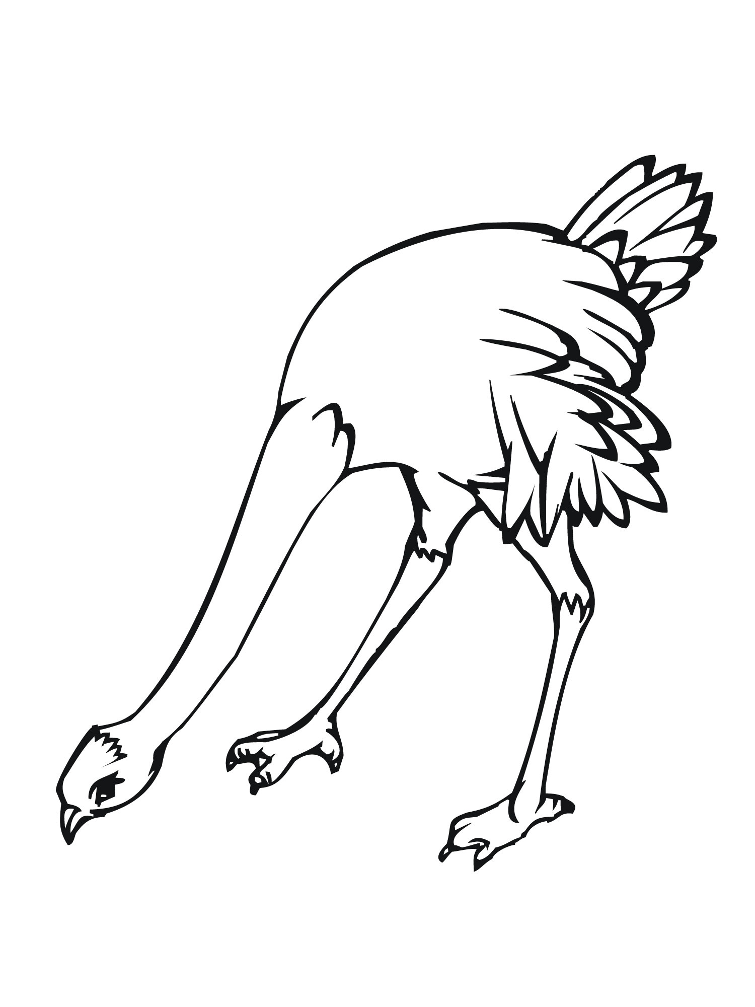 Ostrich Coloring Pages For Kids Coloring Pages