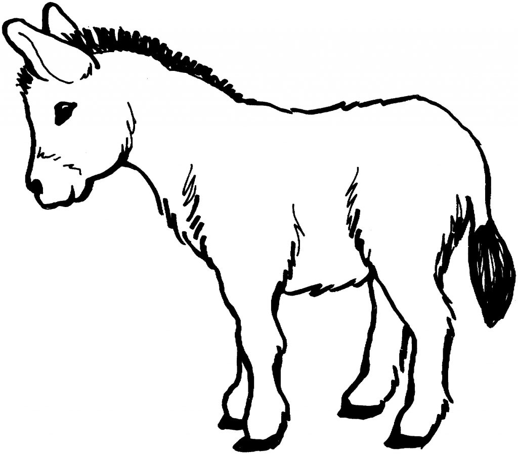 Donkey Coloring Pages Printable