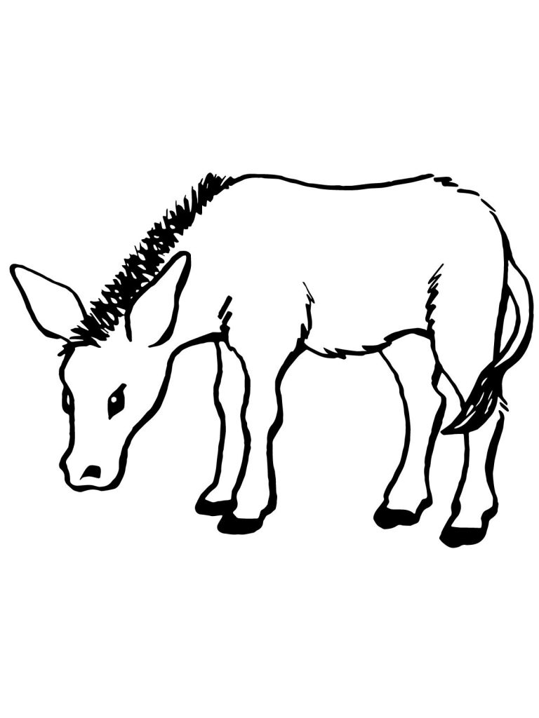 Donkey Coloring Pages to Print