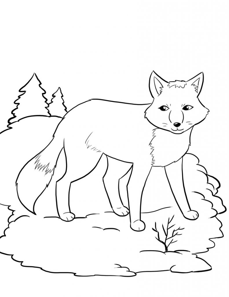 Fox Coloring Pages for Kids