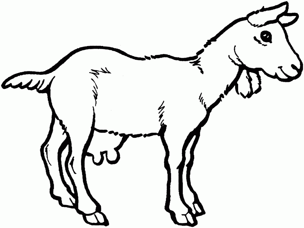 Free Printable Goat Coloring Pages For Kids