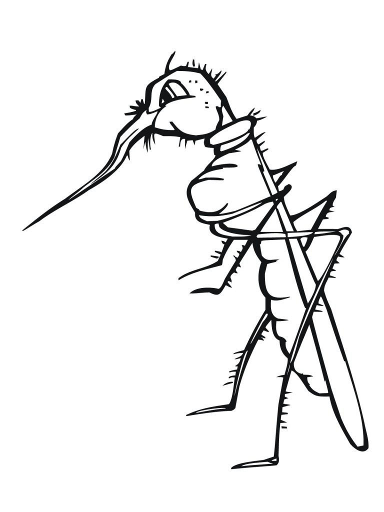 mosquito free coloring page Mosquito coloring pages kids color printable bestcoloringpagesforkids print