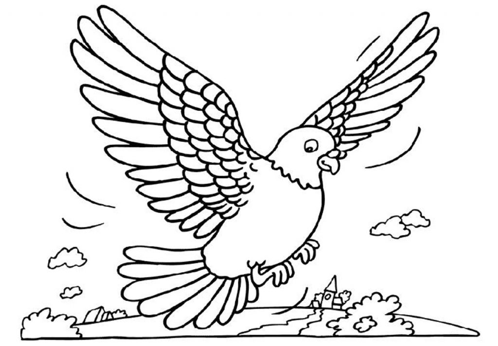 Free Pigeon Coloring Pages